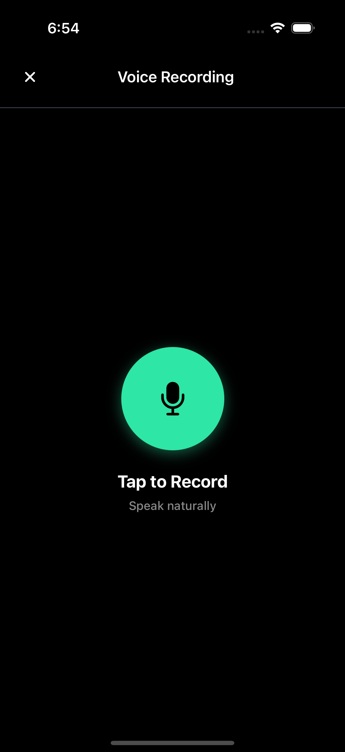 Say it — voice recorder ready to capture